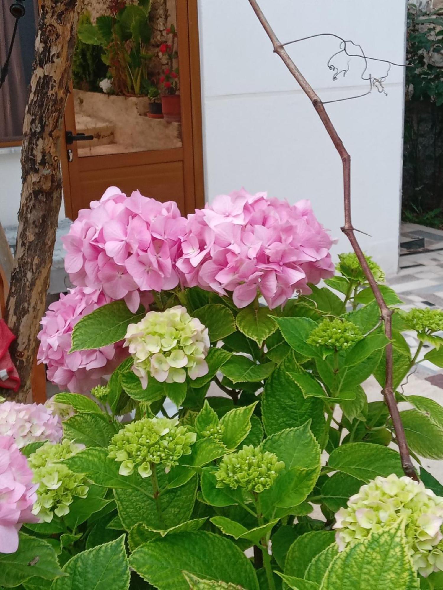 Vjollca'S Home Saranda Chambre photo